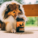 Doplnok na kĺby pre športové psy - 350g