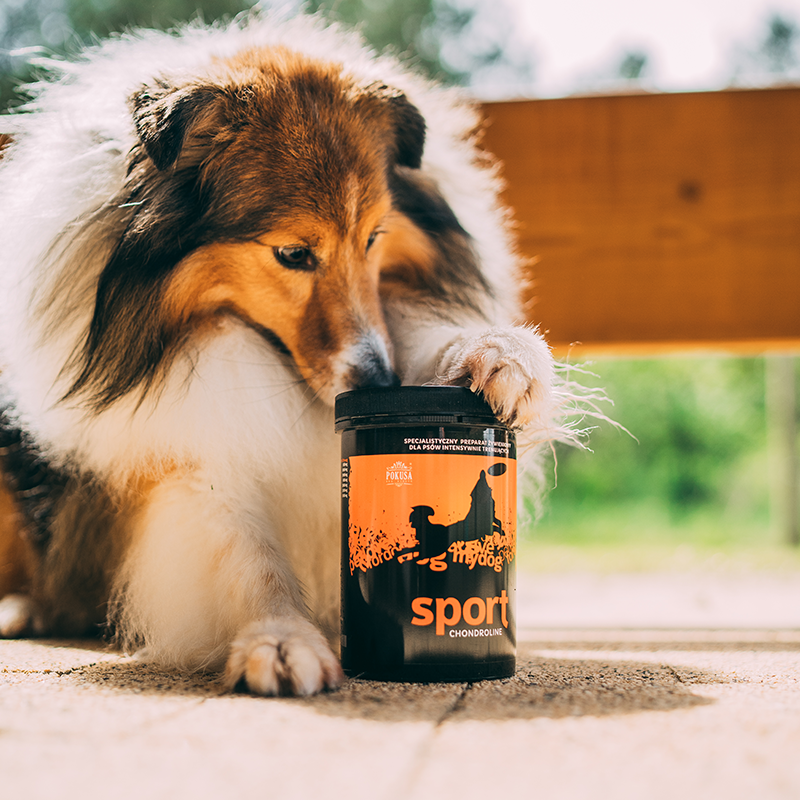 Doplnok na kĺby pre športové psy - 350g
