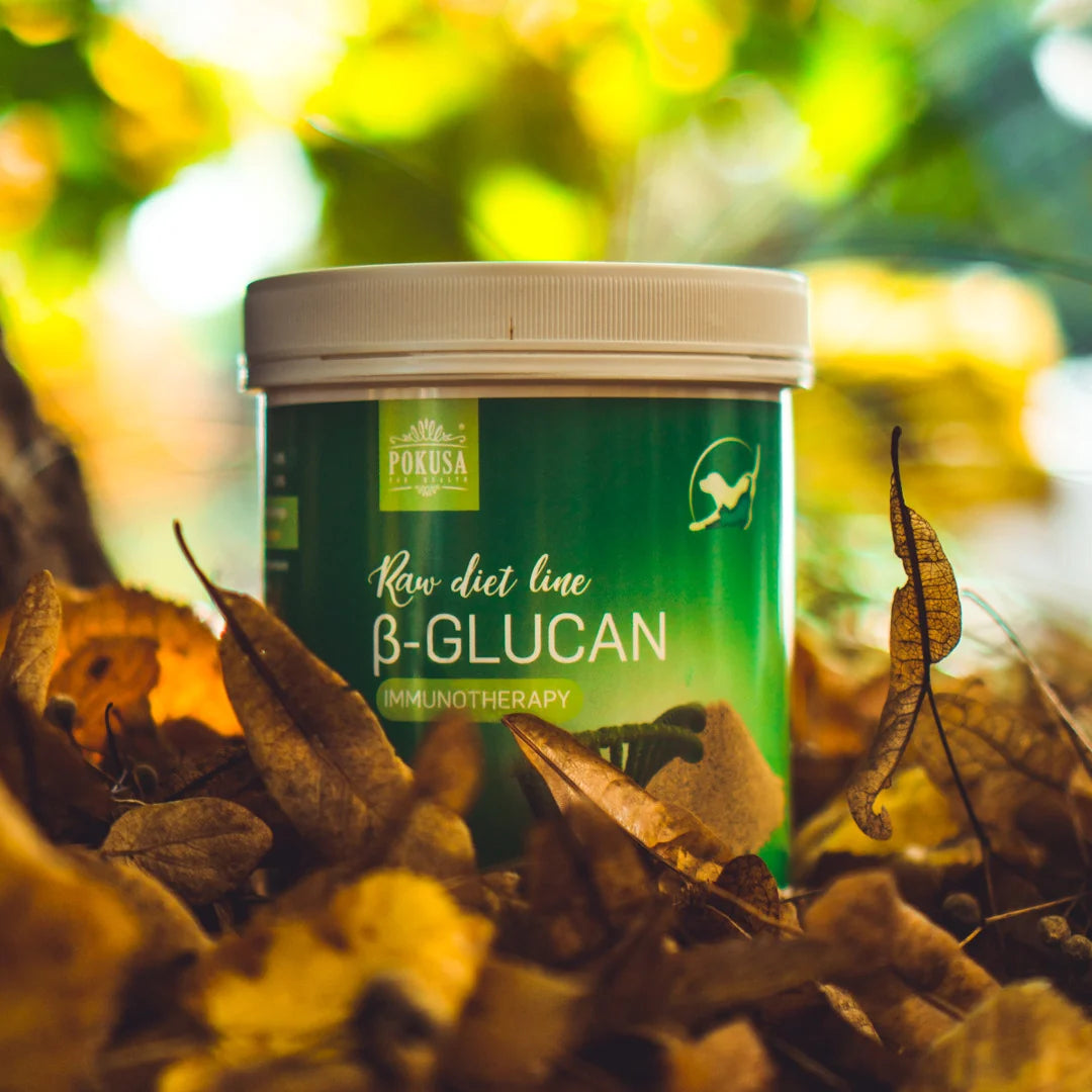 Beta glukán pre psy a mačky na podporu imunity - 250g