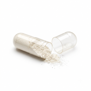 Lactobacillus plantarum DSM 24937